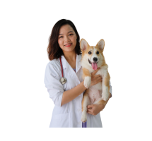 BS. DIỆP NGỌC TRÚC