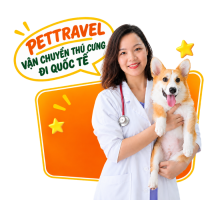 BS. DIỆP NGỌC TRÚC
