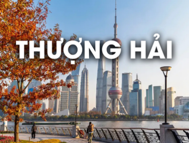 DỊCH VỤ VẬN CHUYỂN THÚ CƯNG ĐI THƯỢNG HẢI - SHANGHAI