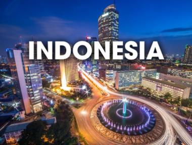 DỊCH VỤ VẬN CHUYỂN THÚ CƯNG ĐI INDONESIA