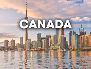 DỊCH VỤ VẬN CHUYỂN THÚ CƯNG ĐI CANADA