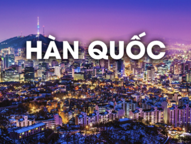 DỊCH VỤ VẬN CHUYỂN THÚ CƯNG ĐI HÀN