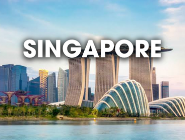 DỊCH VỤ VẬN CHUYỂN THÚ CƯNG ĐI SINGAPORE