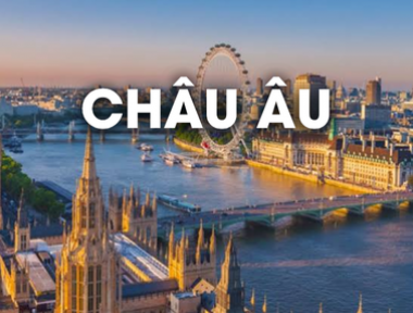 DỊCH VỤ VẬN CHUYỂN THÚ CƯNG ĐI CHÂU ÂU
