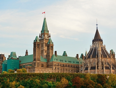 DỊCH VỤ VẬN CHUYỂN THÚ CƯNG ĐI CANADA