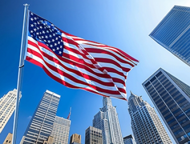 DỊCH VỤ VẬN CHUYỂN THÚ CƯNG ĐI MỸ