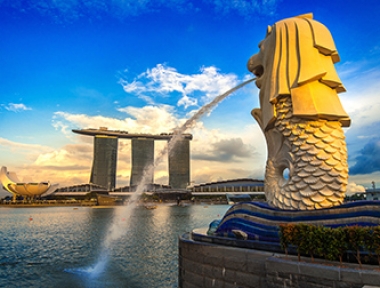 DỊCH VỤ VẬN CHUYỂN THÚ CƯNG ĐI SINGAPORE