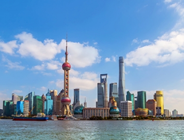 DỊCH VỤ VẬN CHUYỂN THÚ CƯNG ĐI THƯỢNG HẢI - SHANGHAI