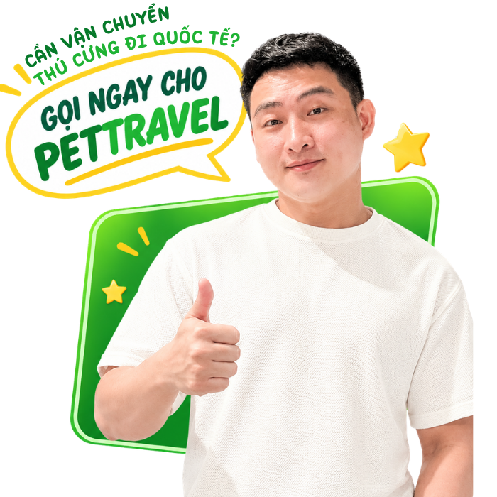 MR. TĂNG QUẾ HẢI