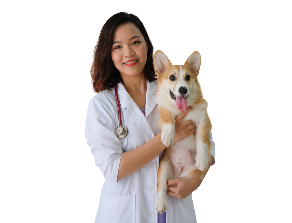 BS. DIỆP NGỌC TRÚC