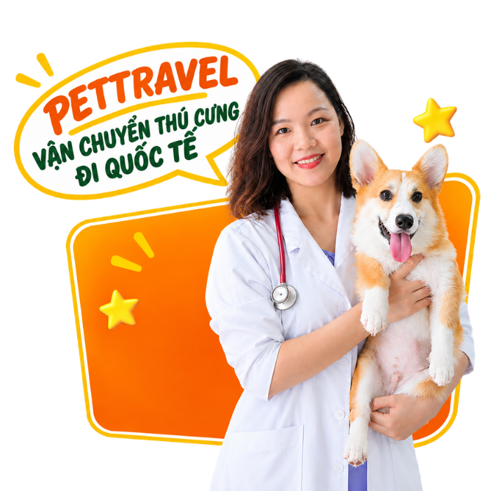 BS. DIỆP NGỌC TRÚC